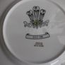 Prince Charles and Lady Diane Wedding Plate Image 2