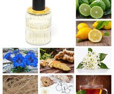 2018 Roxo Tonic by Les Bains Guerbois