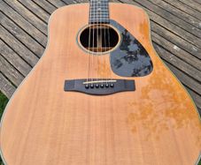 Yamaha DW-15 Dreadnought