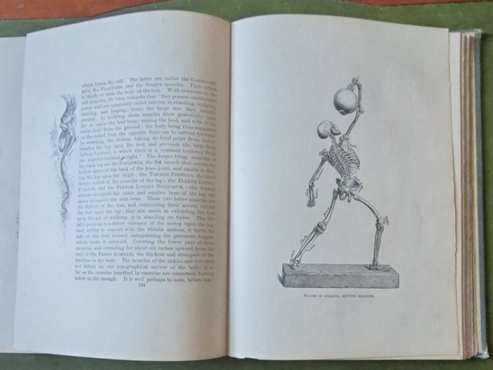 Sandow's On Physical Training. G. Mercer Adam. A. Casarin. Victorian, Physical Culture, Bodybuilding, Strongman, Gymnastics, Weightlifting, Dumbbells, Anatomy, Exercise Manual, Human Form, Photography, Antiquarian, Rare Edition, Gale Polden, London.
