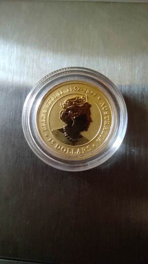 Gold coin koala