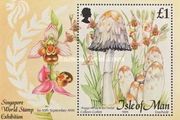 1995 Isle of Man Mushrooms Commemorative Stamp Miniature Sheet Mint Never Hinged (MNH)