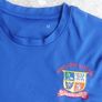 Portlaoise College PE top Image 2