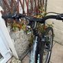 bike Image 2