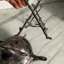 silverplate tea pot with stand Image 7