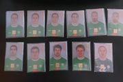 Mint Callcards