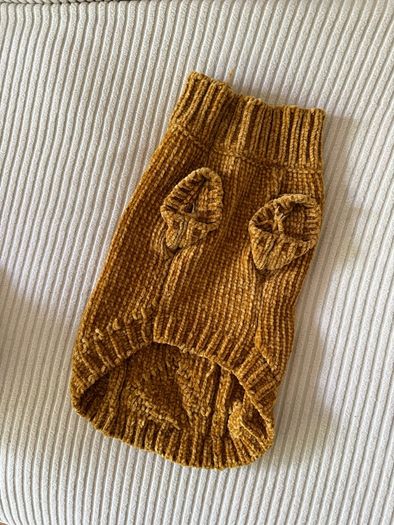 Small Dog Clothes Bundle