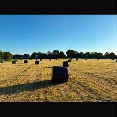 Silage Bales