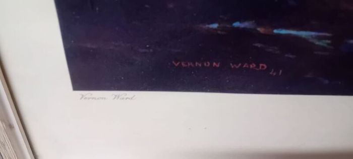 Vintage Vernon Ward Framed Print