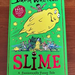 Slime by David Walliams