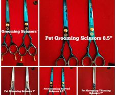 Professional Pet Grooming Scissors for sale