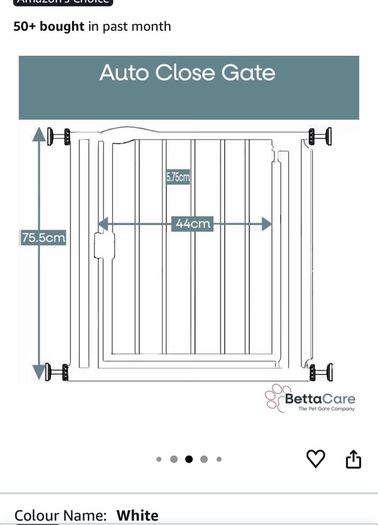 Stair gate