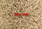 carpet 7ft x 16ft