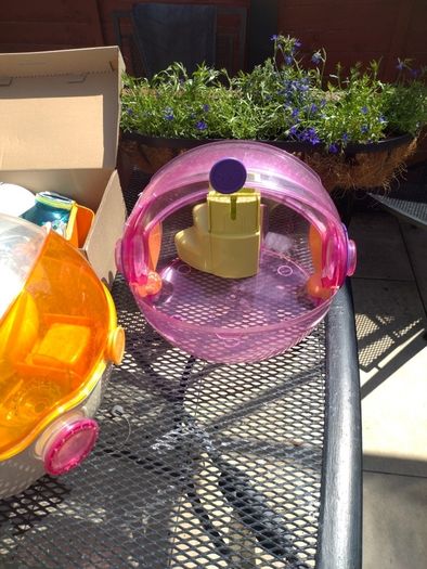 Hamster cage