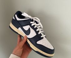 Vintage navy Nike dunks low