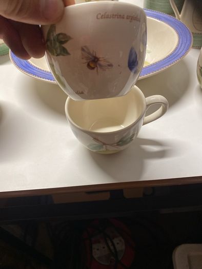 Sarah's Garden Wedgwood Collection