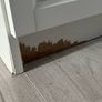 ikea billy bookcase Image 6