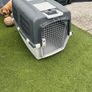Dog carry case Image 2