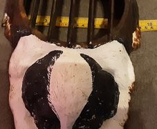 downpipe drain protector