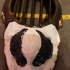 downpipe drain protector