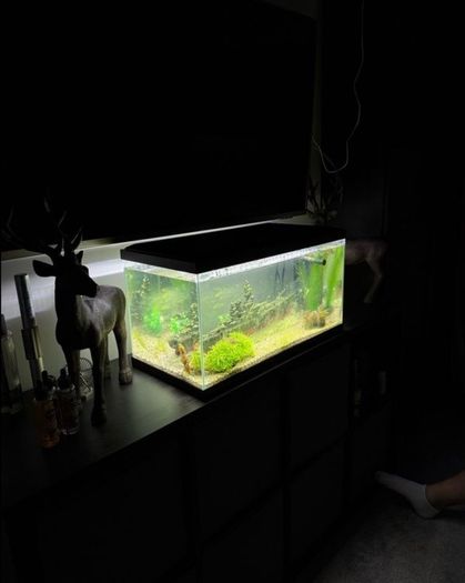 60 Litre Fish Tank