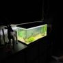 60 Litre Fish Tank Image 2