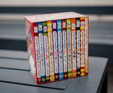 Diary Of A Wimpy Kid Book Collection