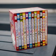 Diary Of A Wimpy Kid Book Collection