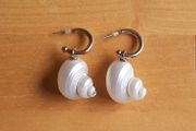 Pretty shell earrings
