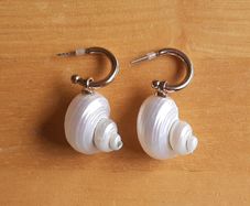 Pretty shell earrings