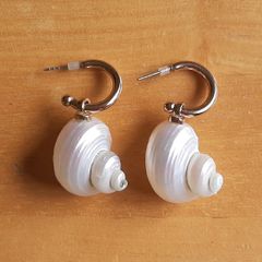 Pretty shell earrings