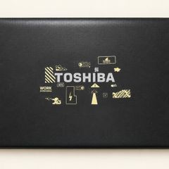 Working Laptop