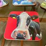 Tipperary Crystal Eoin O Connor Set Of 6 Cow Coasters Image 2