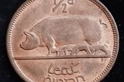 Ireland - 1966 - Half Penny - Sow - AU - KM.10 - [2030]