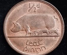 Ireland - 1966 - Half Penny - Sow - AU - KM.10 - [2030]