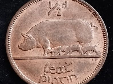 Ireland - 1966 - Half Penny - Sow - AU - KM.10 - [2030]