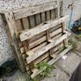 wooden pallets Image 2