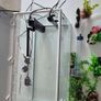 Fish Tank Image 3