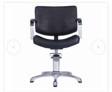 Salon Chair