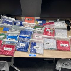 World polyester flags