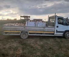Firewood Hardwood