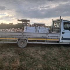 Firewood Hardwood