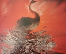 IRISH Depeche Mode - Speak & Spell - vinyl LP - 1981