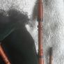 Galician Bagpipe Image 3