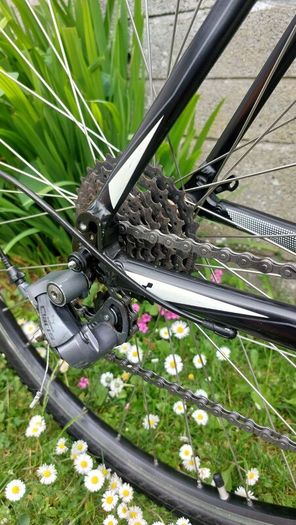 Cube SL Road - Size 59cm/Large - Fully Serviced - Excellent Condition - Riders 5ft 9" - 6ft 3"
