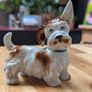 German porcelain terrier Image 4