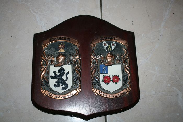 2 Personalized Double Irish Coat of Arms Knight Shield Plaque