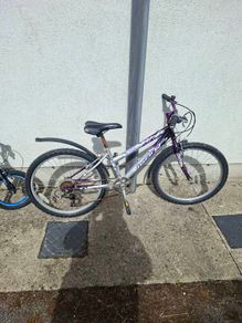 9 year old girl bike. Back wheel doesn't turn