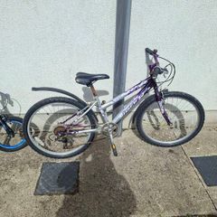 9 year old girl bike. Back wheel doesn't turn