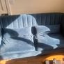 SOFA - Free to take Image 4